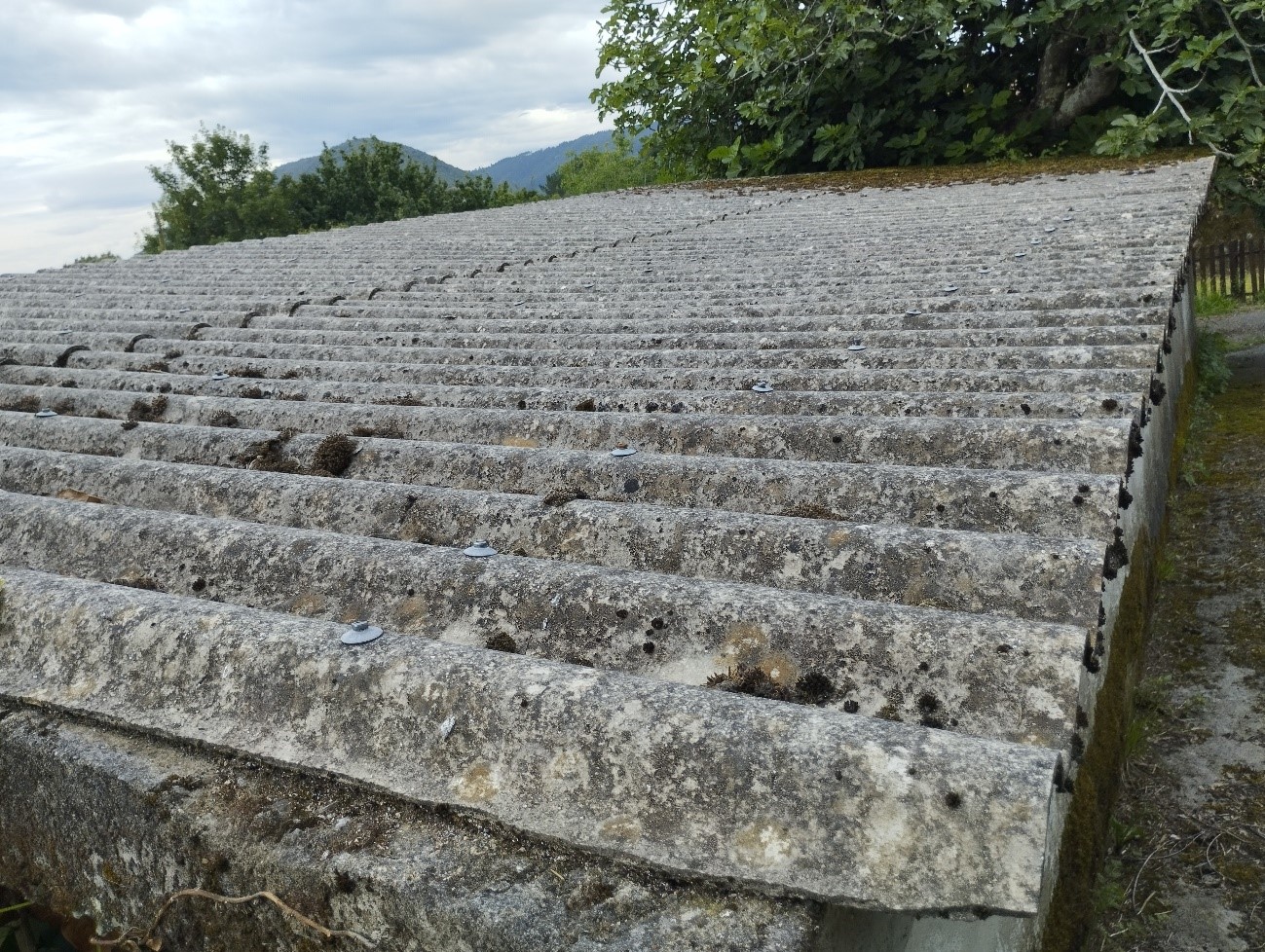 A la imatge veiem una coberta de fibrociment en primer pla, amb eflorescències i trencaments sobre un fons de paisatge verd amb arbres.