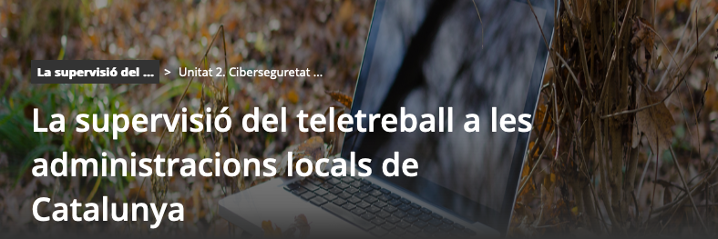 Curs sobre teletreball > Ciberseguretat